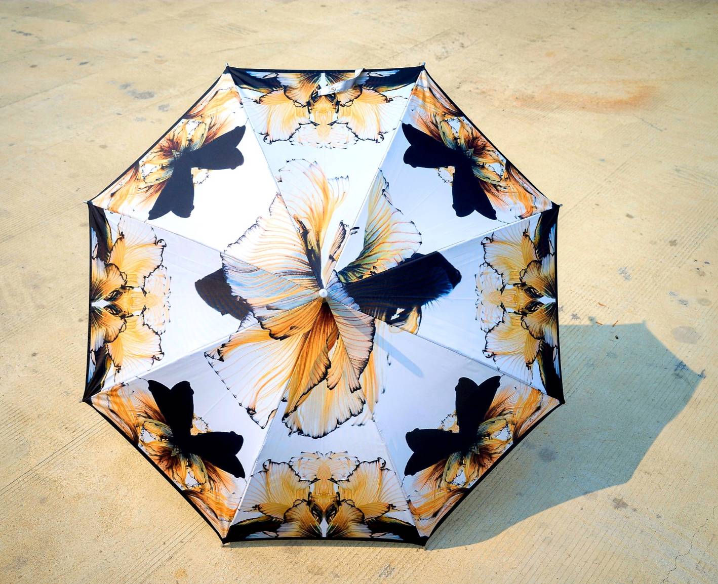 ร่มลายปลากัด