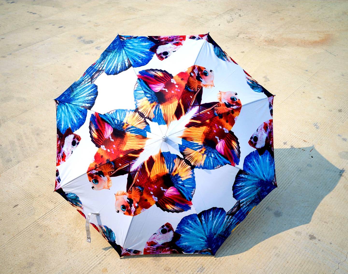 ร่มลายปลากัด