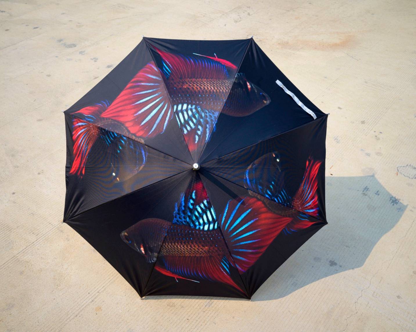 ร่มลายปลากัด