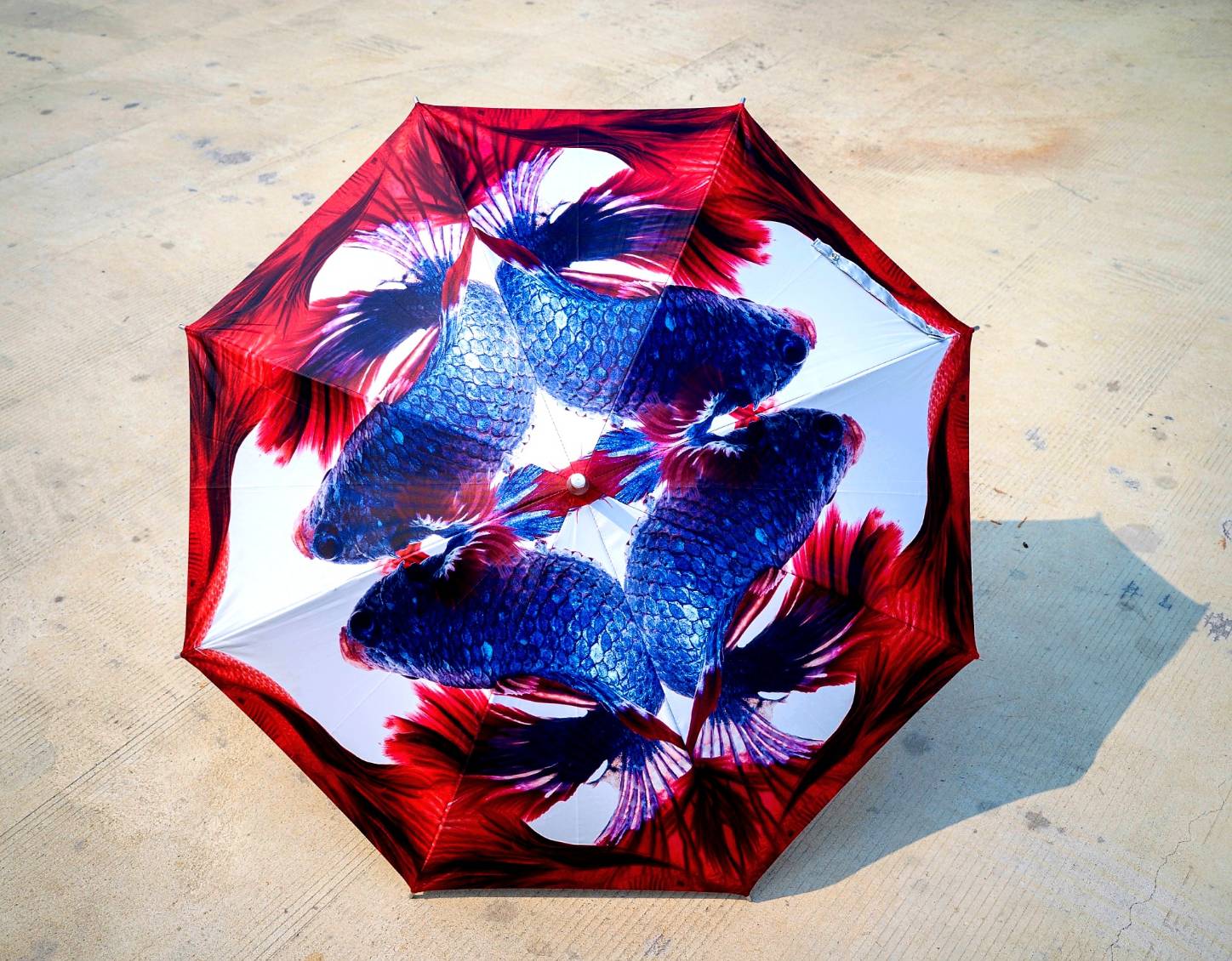 ร่มลายปลากัด