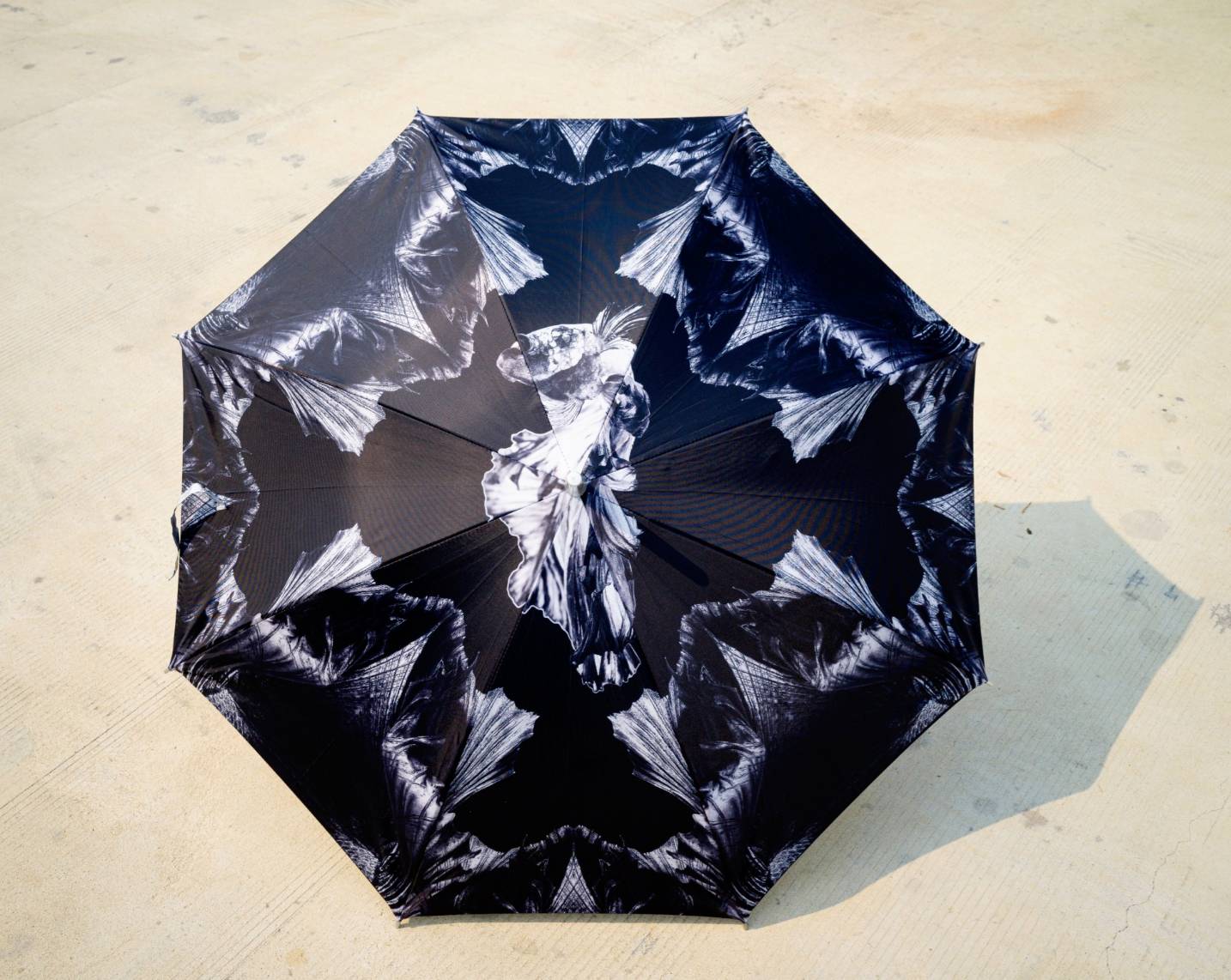 ร่มลายปลากัด